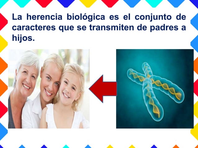 La herencia biológica | PPT