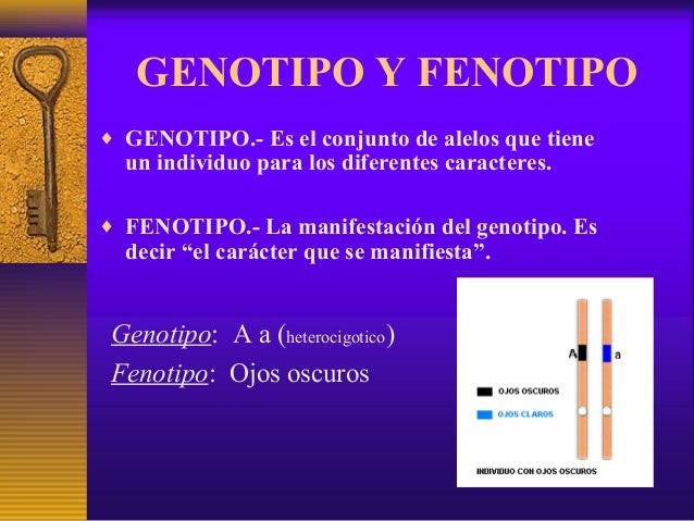 La herencia biologica 9