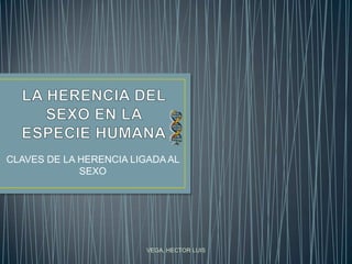 LA HERENCIA DEL SEXO EN LA ESPECIE HUMANA CLAVES DE LA HERENCIA LIGADA AL SEXO VEGA, HECTOR LUIS 