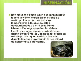 La hibernación | PDF
