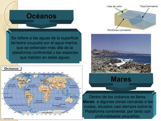 Estudio y Compresión de la Sociedad
Océanos
Se refiere a las aguas de la superficie
terrestre ocupada por el agua marina
que se extienden más allá de la
plataforma continental y las especies
que habitan en estas aguas.
Mares
Dentro de los océanos se llama
Mares a algunas zonas cercanas a las
costas, situados casi siempre sobre la
Plataforma continental, por tanto con
profundidades pequeñas,
 
