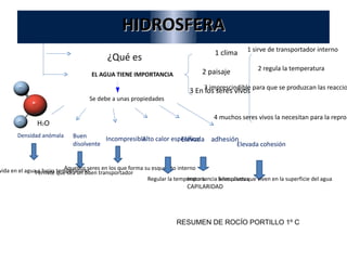 HIDROSFERA RESUMEN DE ROCÍO PORTILLO 1º C ¿Qué es EL AGUA TIENE IMPORTANCIA 1 clima 3 En los seres vivos  2 paisaje 1 sirve de transportador interno 2 regula la temperatura 3 imprescindible para que se produzcan las reacciones químicas 4 muchos seres vivos la necesitan para la reproducción Se debe a unas propiedades  Densidad anómala Permite la vida en el agua a bajas temperaturas Buen disolvente Permite que sea un buen transportador Incompresible Aquellos seres en los que forma su esqueleto interno Alto calor específico Regular la temperatura Elevada  adhesión Importancia a las plantas . CAPILARIDAD Elevada cohesión Seres vivos que viven en la superficie del agua H 2 O 