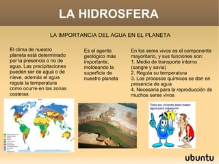 LA HIDROSFERA LA IMPORTANCIA DEL AGUA EN EL PLANETA El clima de nuestro planeta está determinado por la presencia o no de agua. Las precipitaciones pueden ser de agua o de nieve, además el agua regula la temperatura como ocurre en las zonas costeras Es el agente geológico más importante, moldeando la superficie de nuestro planeta En los seres vivos es el componente mayoritario, y sus funciones son: 1. Medio de transporte interno (sangre y savia) 2. Regula su temperatura 3. Los procesos químicos se dan en presencia de agua 4. Necesaria para la reproducción de muchos seres vivos 