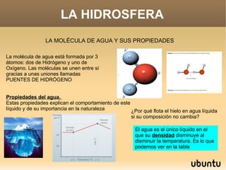 LA HIDROSFERA LA MOLÉCULA DE AGUA Y SUS PROPIEDADES La molécula de agua está formada por 3 átomos: dos de Hidrógeno y uno de Oxígeno. Las moléculas se unen entre sí gracias a unas uniones llamadas PUENTES DE HIDRÓGENO  Propiedades del agua.  Estas propiedades explican el comportamiento de este líquido y de su importancia en la naturaleza ¿Por qué flota el hielo en agua líquida si su composición no cambia? El agua es el único líquido en el que su  densidad  disminuye al disminuir la temperatura. Es lo que podemos ver en la tabla 