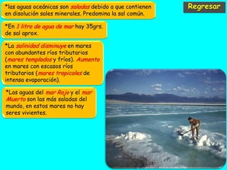 *las aguas oceánicas son saladas debido a que contienen   Regresar
en disolución sales minerales. Predomina la sal común.

*En 1 litro de agua de mar hay 35grs.
de sal aprox.

*La salinidad disminuye en mares
con abundantes ríos tributarios
(mares templados y fríos). Aumenta
en mares con escasos ríos
tributarios (mares tropicales de
intensa evaporación).

*Las aguas del mar Rojo y el mar
Muerto son las más saladas del
mundo, en estos mares no hay
seres vivientes.
 