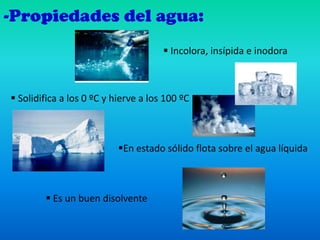 La hidrosfera | PPTX