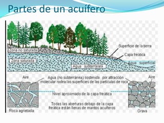 Partes de un acuífero

 