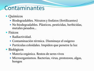 Contaminantes
 Químicos
 Biodegradables. Nitratos y fosfatos (fertilizantes)
 No biodegradables. Plásticos, pesticidas, herbicidas,
metales pesados…
 Físicos
 Radiactividad.
 Contaminación térmica. Disminuye el oxígeno
 Partículas coloidales. Impiden que penetre la luz
 Biológicos
 Materia orgánica. Restos de seres vivos
 Microorganismos. Bacterias, virus, protozoos, algas,
hongos

 