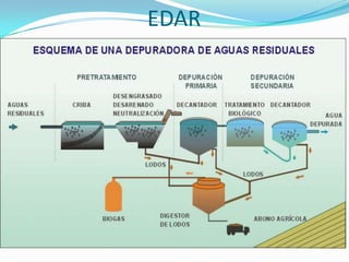 EDAR

 