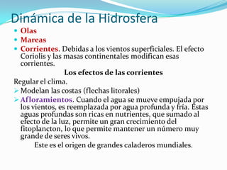 Dinámica de la Hidrosfera
 Olas
 Mareas
 Corrientes. Debidas a los vientos superficiales. El efecto

Coriolis y las masas continentales modifican esas
corrientes.
Los efectos de las corrientes
Regular el clima.
 Modelan las costas (flechas litorales)
 Afloramientos. Cuando el agua se mueve empujada por
los vientos, es reemplazada por agua profunda y fría. Estas
aguas profundas son ricas en nutrientes, que sumado al
efecto de la luz, permite un gran crecimiento del
fitoplancton, lo que permite mantener un número muy
grande de seres vivos.
Este es el origen de grandes caladeros mundiales.

 
