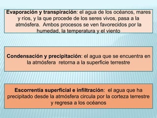 Evaporación y transpiración: el agua de los océanos, mares
y ríos, y la que procede de los seres vivos, pasa a la
atmósfera. Ambos procesos se ven favorecidos por la
humedad, la temperatura y el viento

Condensación y precipitación: el agua que se encuentra en
la atmósfera retorna a la superficie terrestre

Escorrentía superficial e infiltración: el agua que ha
precipitado desde la atmósfera circula por la corteza terrestre
y regresa a los océanos

 