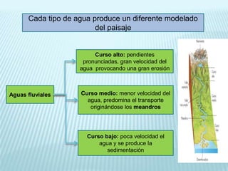 Cada tipo de agua produce un diferente modelado
del paisaje

Curso alto: pendientes
pronunciadas, gran velocidad del
agua provocando una gran erosión

Aguas fluviales

Curso medio: menor velocidad del
agua, predomina el transporte
originándose los meandros

Curso bajo: poca velocidad el
agua y se produce la
sedimentación

 