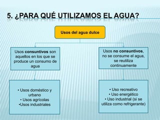 5. ¿PARA QUÉ UTILIZAMOS EL AGUA?
Usos del agua dulce

Usos consuntivos son
aquellos en los que se
produce un consumo de
agua

Usos no consuntivos,
no se consume el agua,
se reutiliza
continuamente

• Usos doméstico y
urbano
• Usos agrícolas
•Usos industriales

• Uso recreativo
• Uso energético
• Uso industrial (si se
utiliza como refrigerante)

 