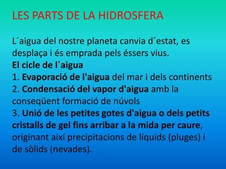 LES PARTS DE LA HIDROSFERA 
L´aigua del nostre planeta canvia d´estat, es 
desplaça i és emprada pels éssers vius. 
El cicle de l´aigua 
1. Evaporació de l'aigua del mar i dels continents 
2. Condensació del vapor d'aigua amb la 
conseqüent formació de núvols 
3. Unió de les petites gotes d'aigua o dels petits 
cristalls de gel fins arribar a la mida per caure, 
originant així precipitacions de líquids (pluges) i 
de sòlids (nevades). 
 