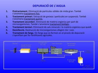DEPURACIÓ DE L’AIGUA 
1. Pretractament. Eliminació de partícules sòlides de mida gran. També 
s’anomena tractament físic. 
2. Tractament primari. Extracció de greixos i partícules en suspensió. També 
s’anomena tractament químic. 
3. Tractament secundari. Eliminació de matèria orgànica per part de 
microorganismes. També s’anomena tractament biològic. 
4. Tractament terciari. Eliminació de sals minerals i la matèria orgànica que quedi. 
5. Desinfecció. Destrucció de microorganismes afegint clor i ozó. 
6. Tractament de fangs. Els fangs que es formen en el procés de depuració 
s’aprofiten per fer fertilitzants agrícoles. 

