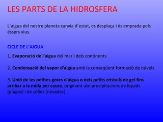LES PARTS DE LA HIDROSFERA 
L´aigua del nostre planeta canvia d´estat, es desplaça i és emprada pels 
éssers vius. 
CICLE DE L’AIGUA 
1. Evaporació de l'aigua del mar i dels continents 
2. Condensació del vapor d'aigua amb la conseqüent formació de núvols 
3. Unió de les petites gotes d'aigua o dels petits cristalls de gel fins 
arribar a la mida per caure, originant així precipitacions de líquids 
(pluges) i de sòlids (nevades). 
 