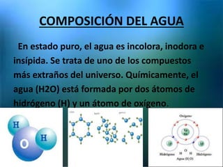 COMPOSICIÓN DEL AGUA
En estado puro, el agua es incolora, inodora e
insípida. Se trata de uno de los compuestos
más extraños del universo. Químicamente, el
agua (H2O) está formada por dos átomos de
hidrógeno (H) y un átomo de oxígeno.
 