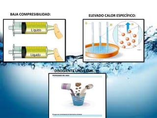 BAJA COMPRESIBILIDAD: ELEVADO CALOR ESPECÍFICO:
DISOLVENTE UNIVERSAL:
 