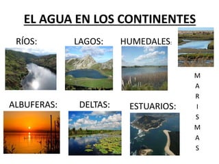 EL AGUA EN LOS CONTINENTES
RÍOS: LAGOS: HUMEDALES:
ALBUFERAS: DELTAS: ESTUARIOS:
M
A
R
I
S
M
A
S
 