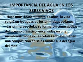 IMPORTANCIA DEL AGUA EN LOS
SERES VIVOS
Hace unos 3.500 millones de años, la vida
surgió en las aguas de los primitivos océanos.
Las primeras células se formaron como gotitas
del océano primitivo, encerradas en una
membrana. Por eso, las células actuales tienen
una composición en sales similar a la del agua
del mar.
 