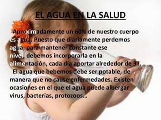EL AGUA EN LA SALUD
Aproximadamente un 60% de nuestro cuerpo
es agua. Puesto que diariamente perdemos
agua, para mantener constante ese
nivel, debemos incorporarla en la
alimentación, cada día aportar alrededor de 3 l.
El agua que bebemos debe ser potable, de
manera que no cause enfermedades. Existen
ocasiones en el que el agua puede albergar
virus, bacterias, protozoos…
 