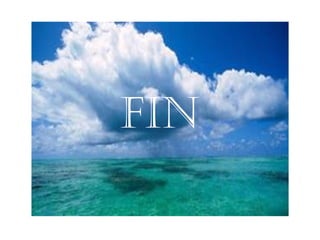 fin
 