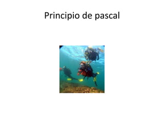 Principio de pascal
 