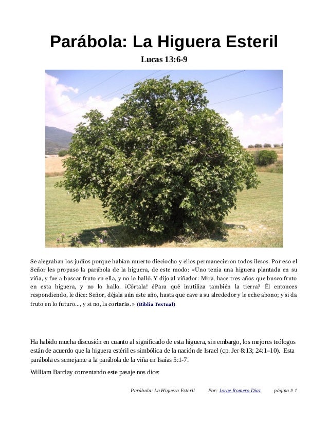 Parábola La Higuera Esteril