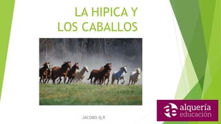 LA HIPICA Y
LOS CABALLOS
JACOBO.Q.P.
 