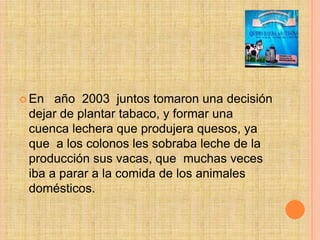  En año 2003 juntos tomaron una decisión
dejar de plantar tabaco, y formar una
cuenca lechera que produjera quesos, ya
qu...
