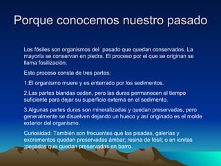 Porque conocemos nuestro pasado Los fósiles son organismos del  pasado que quedan conservados. La mayoría se conservan en piedra. El proceso por el que se originan se llama fosilización. Este proceso consta de tres partes: 1.El organismo muere y es enterrado por los sedimentos.  2.Las partes blandas ceden, pero las duras permanecen el tiempo suficiente para dejar su superficie externa en el sedimento. 3.Algunas partes duras son mineralizadas y quedan preservadas, pero generalmente se disuelven dejando un hueco y así originado es el molde exterior del organismo. Curiosidad: También son frecuentes que las pisadas, galerías y excrementos queden preservadas ámbar; resina de fósil; o en icnitas ;pegadas que quedan preservadas en barro.  