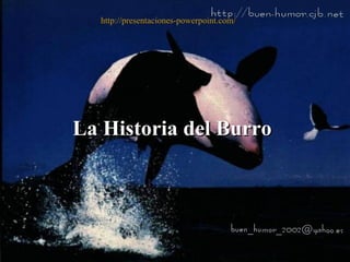La Historia del BurroLa Historia del Burro
http://presentaciones-powerpoint.com/
 
