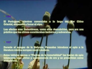 
El Portugues, mientras comerciaba a lo largo del Mar Chino
Oriental, empezaba a fumar el oipo.

Los efectos eran instantáneos, como ellos descubrirían, pero era una
práctica que los chinos consideraban barbárica y subversiva.




Durante el apogeo de la Reforma, Paracelso introduce el opio a la
literatura médica europea como Láudano.

Estas tabletas negras o “Piedras de la Inmortalidad” las hacían de opio
tebascano, jugo cítrico y quintaesencia de oro y se prescribían como
analgésicos.
 