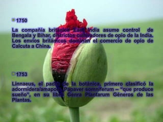  1750
La compañía británica East India asume control            de
Bengala y Bihar, districtos cultivadores de opio de la India.
Los envíos británicos dominan el comercio de opio de
Calcuta a China.




 1753
Linnaeus, el padre de la botánica, primero clasificó la
adormidera/amapola, Papaver somniferum – “que produce
sueño”, en su libro Genra Plantarum Géneros de las
Plantas.
 