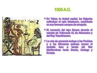 1300 A.C.

   En Tebas, la ciudad capital, los Egipcios
    cultivaban el opio tebascano, cosechado
    en sus famosos campos de amapola.

   El comercio del oipo florece durante el
    reinado de Tuthmosis IV, de Akhenaton y
    del Rey Tutankhamen.

   La ruta de comercio incluye a los Fenicios
    y a los Minoanos quienes meven el
    rentable ítem a través del Mar
    Mediterráneo hacia Grecia, Cartago y
    Europa.
 