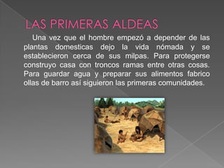 LAS PRIMERAS ALDEASUna vez que el hombre empezó a depender de las plantas domesticas dejo la vida nómada y se establecieron cerca de sus milpas. Para protegerse construyo casa con troncos ramas entre otras cosas. Para guardar agua y preparar sus alimentos fabrico ollas de barro así siguieron las primeras comunidades.