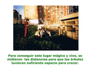 Para conseguir este lugar mágico y vivo, se
midieron las distancias para que los árboles
tuvieran suficiente espacio para crecer.
 