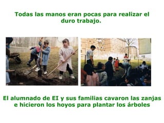 Todas las manos eran pocas para realizar el
duro trabajo.
El alumnado de EI y sus familias cavaron las zanjas
e hicieron los hoyos para plantar los árboles
 