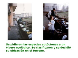 Se pidieron las especies autóctonas a un
vivero ecológico. Se clasificaron y se decidió
su ubicación en el terreno.
 