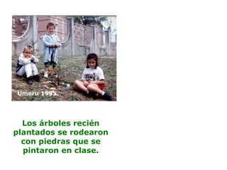 Los árboles recién
plantados se rodearon
con piedras que se
pintaron en clase.
Umeru 1995
 