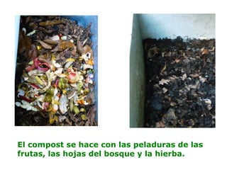 El compost se hace con las peladuras de las
frutas, las hojas del bosque y la hierba.
 