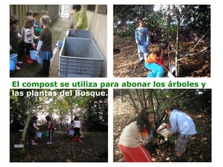 El compost se utiliza para abonar los árboles y
las plantas del Bosque.
 