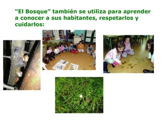 “El Bosque” también se utiliza para aprender
a conocer a sus habitantes, respetarlos y
cuidarlos:
 