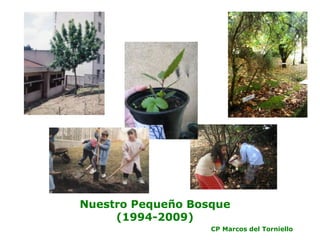 Nuestro Pequeño Bosque (1994-2009) CP Marcos del Torniello 