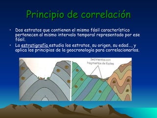 Principio de correlación Dos estratos que contienen el mismo fósil característico pertenecen al mismo intervalo temporal representado por ese fósil. La  estratigrafía  estudia los estratos, su origen, su edad…, y aplica los principios de la geocronología para correlacionarlos. 