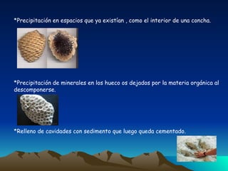 *Precipitación en espacios que ya existían , como el interior de una concha. *Precipitación de minerales en los hueco os dejados por la materia orgánica al descomponerse. *Relleno de cavidades con sedimento que luego queda cementado. 