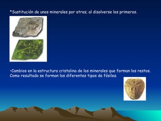 *Sustitución de unos minerales por otros; al disolverse los primeros. Cambios en la estructura cristalina de los minerales que forman los restos. Como resultado se forman los diferentes tipos de fósiles. 