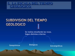 5.  LA ESCALA DEL TIEMPO GEOLÓGICO  Se realiza estudiando las rocas. Segun distintos criterios: Geoquímicos Biológicos Estratigráficos 