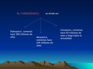 EL FARENOZOICO,  se divide en: Paleozoico, comenzó hace 550 millones de a ñ os Mesozoico, comienza hace 245 millones de a ñ os Cenozoico, comienza hace 65 millones de a ñ os y llega hasta la actualidad. 