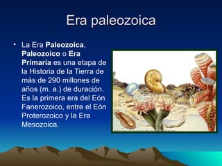 Era paleozoica La Era  Paleozoica ,  Paleozoico  o  Era Primaria  es una etapa de la Historia de la Tierra de más de 290 millones de años (m. a.) de duración. Es la primera era del Eón Fanerozoico, entre el Eón Proterozoico y la Era Mesozoica.  